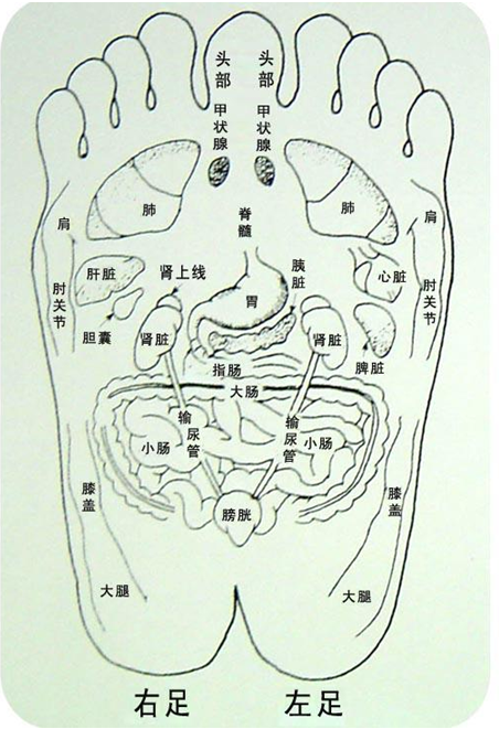 脚底穴位图,足部按摩穴位图