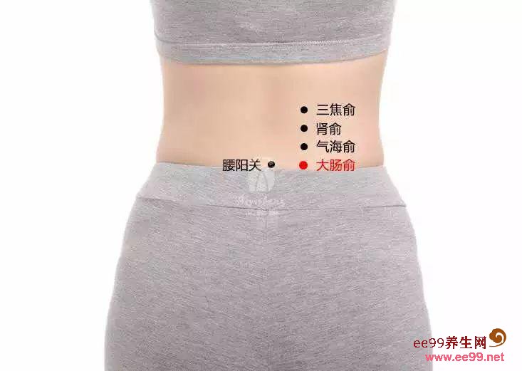 大肠俞穴的准确位置图,大肠俞穴的作用与功效