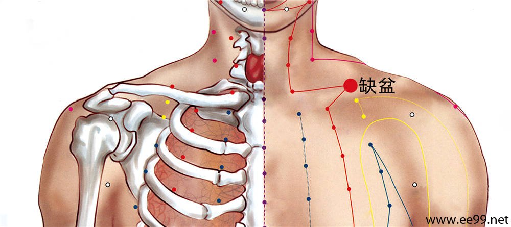 【图解缺盆穴的位置】    【缺盆穴】位于人体的锁骨上窝中央,距前