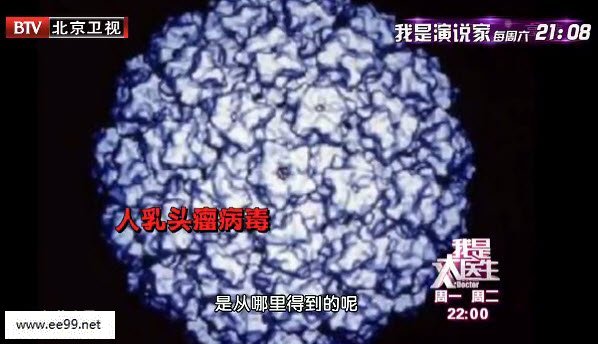 人乳头瘤病毒(hpv)
