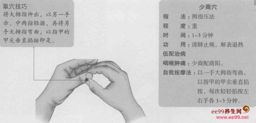 少商的准确位置图少商穴的功效与作用