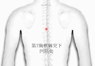 至阳穴