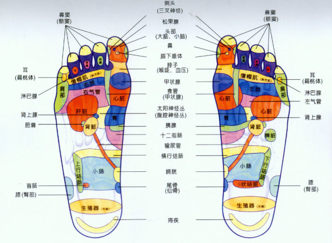 脚底穴位图
