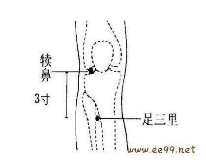足三里的位置