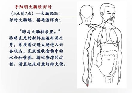 大肠经走向图文详解图片