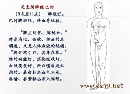 足太阴脾经,脾经经络图