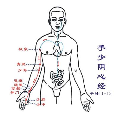 手少阴心经,心经经络图
