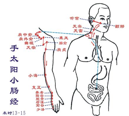 手太阳小肠经,小肠经经络图