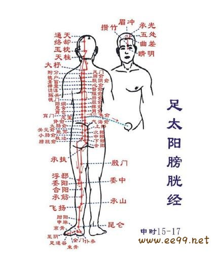 足太阳膀胱经,足太阳膀胱经经络图