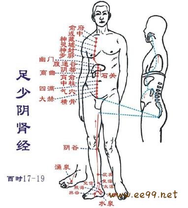 足少阴肾经,足少阴肾经经络图