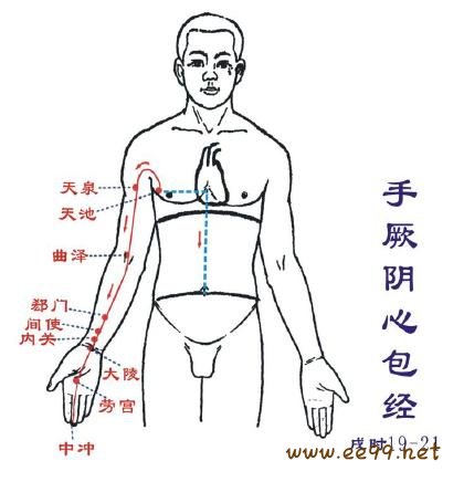 手厥阴心包经,手厥阴心包经经络图