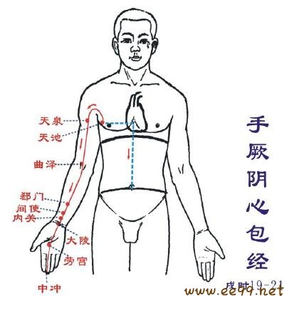 心包经走向图片