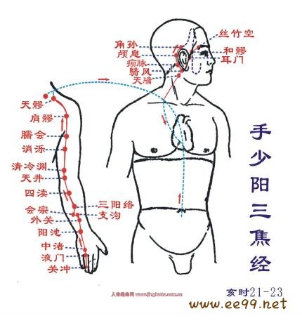 手少阳三焦经,手少阳三焦经经络图