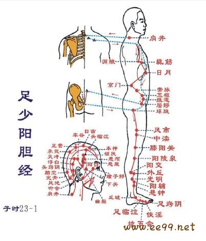 足少阳胆经,足少阳胆经经络图