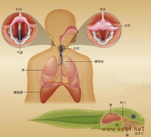 打嗝不止怎么办?