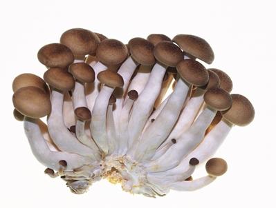 抗癌食物