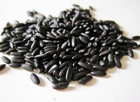 补肾的食物 黑米