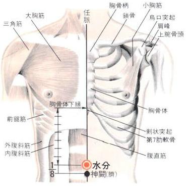 水分穴