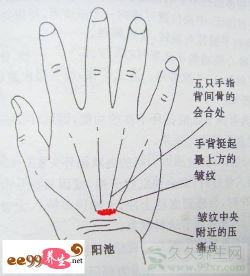 阳池——打电话时也护腕