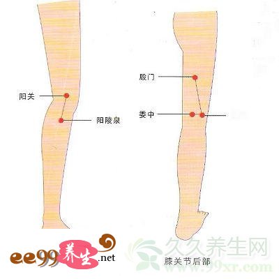 委中——缓解腰背痛