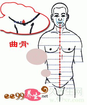 曲骨——消除前列腺炎尴尬