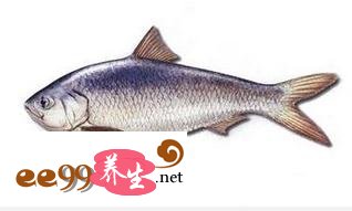 立夏养生抓紧尝“三鲜”