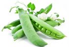 豌豆 豌豆
