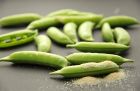青豆的营养功效 青豆的营养功效