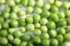 豌豆的营养价值 豌豆的营养价值