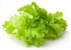 生菜 生菜