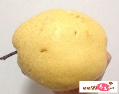 秋季吃梨子可以祛燥 咽炎