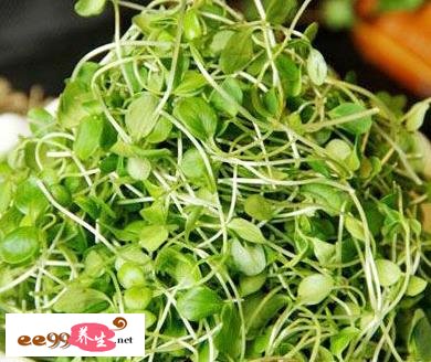 芽菜除了可以健脾养肝之外,还能有效的防治春季口角炎的发生 芽菜除了可以健脾养肝之外,还能有效的防治春季口角炎的发生