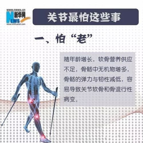 关节怕老