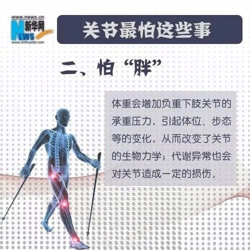 关节怕胖