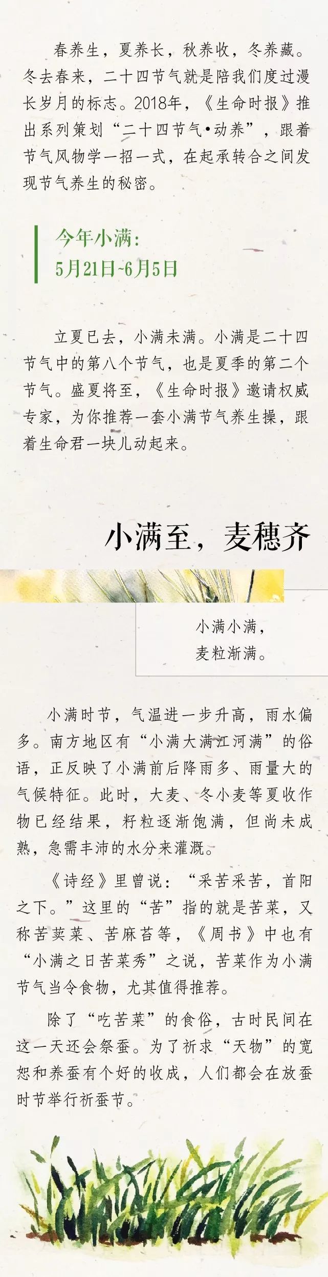 小满养生节气操