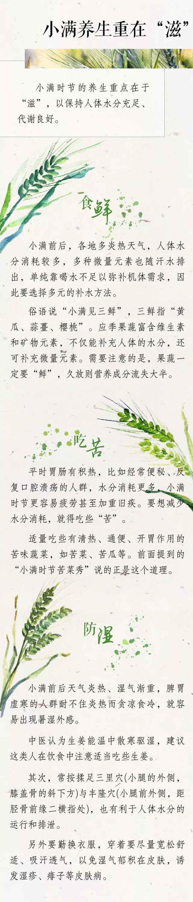小满养生节气操