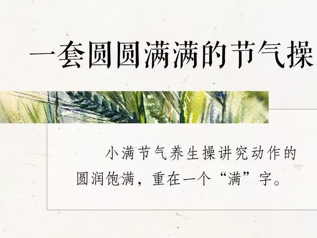 小满养生节气操