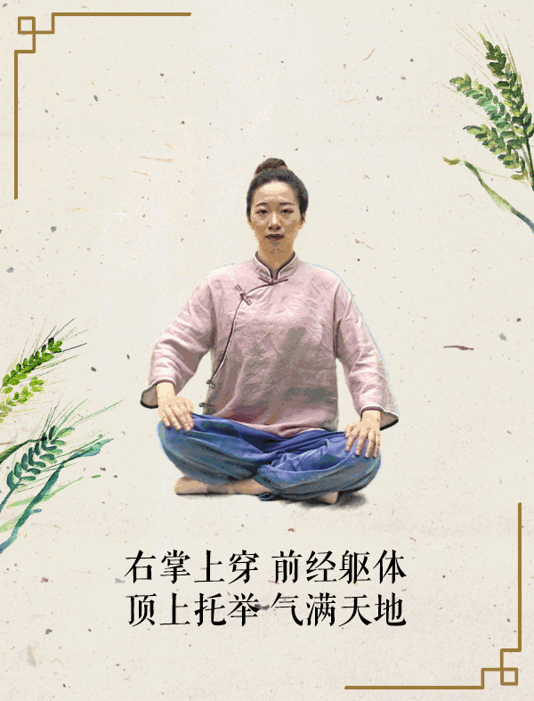 小满养生节气操