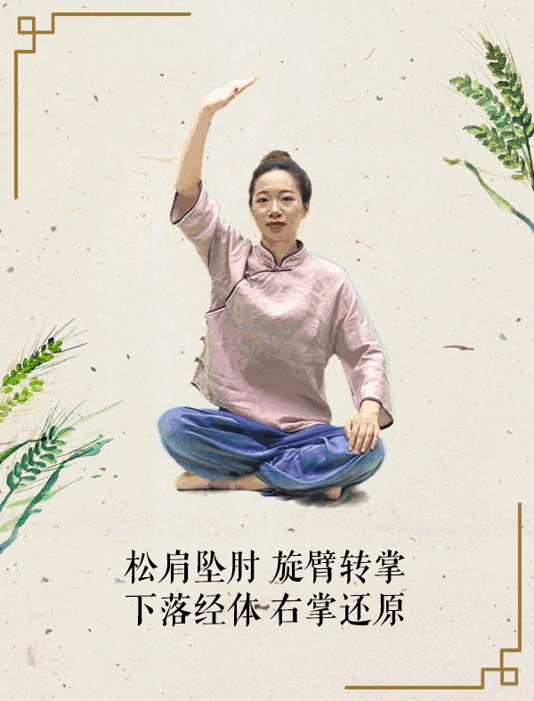 小满养生节气操
