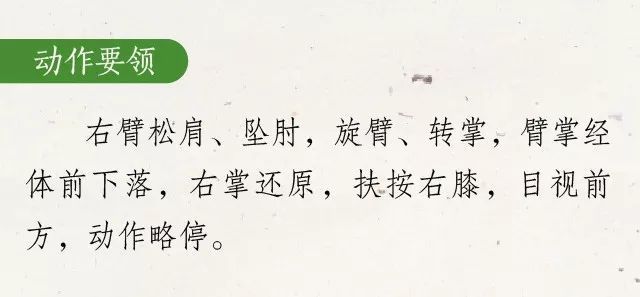 小满养生节气操