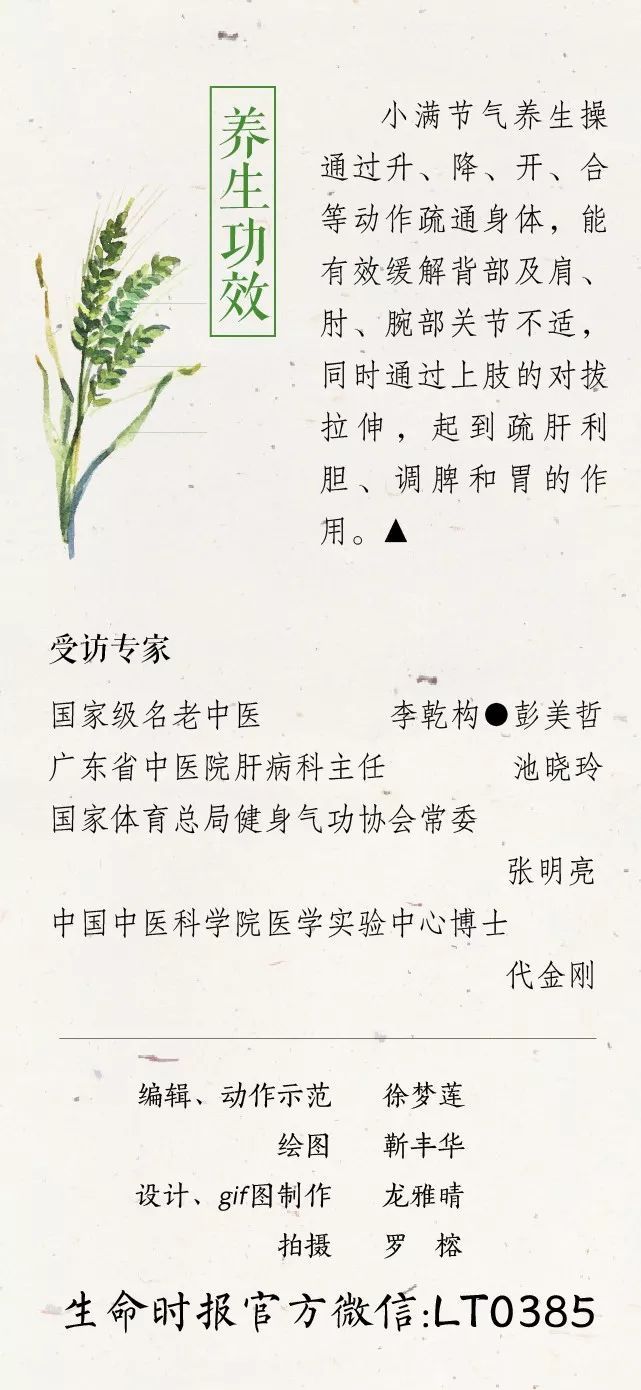 小满养生节气操