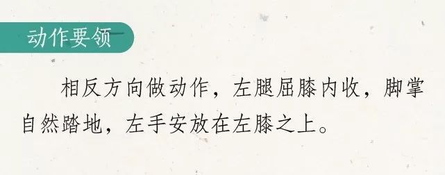 夏至养生操