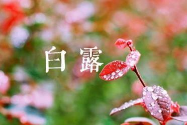 白露节气