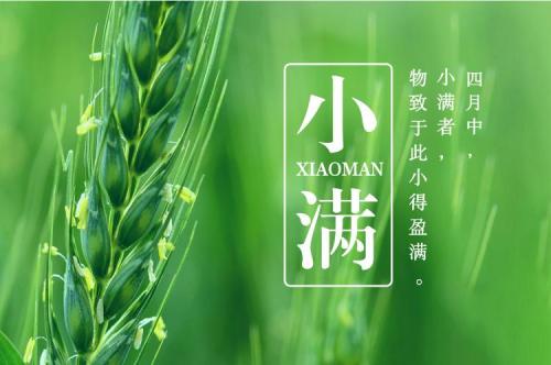小满养生
