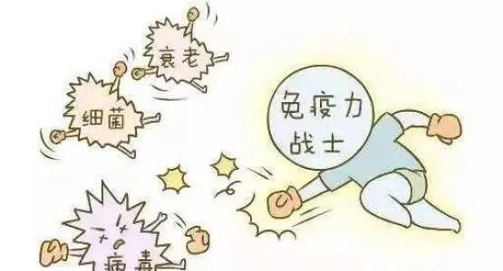 提高免疫力