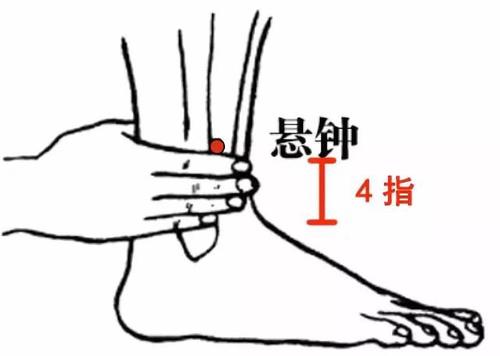 悬钟穴