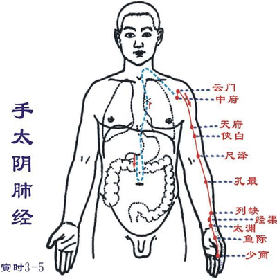 肺经的按摩手法图图片