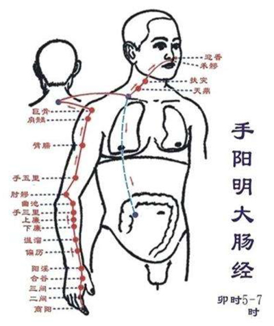 大肠经