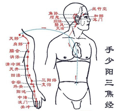 三焦经