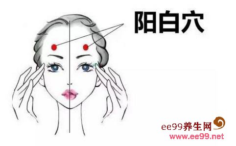 阳白穴的准确位置图